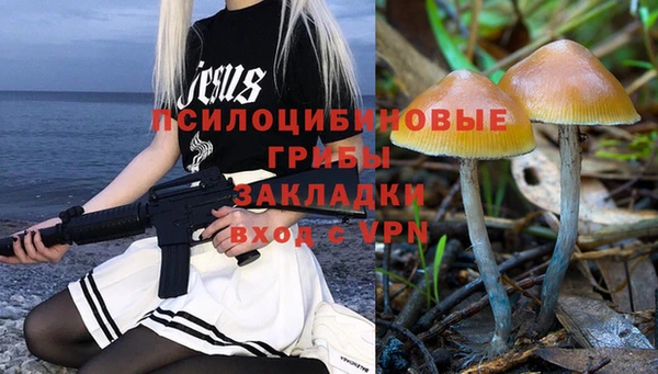 шишки Алексеевка