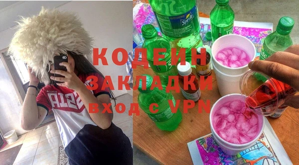 хмурый Алзамай