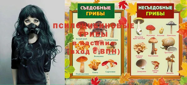 шишки Алексеевка