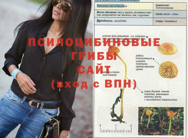 метадон Приозерск