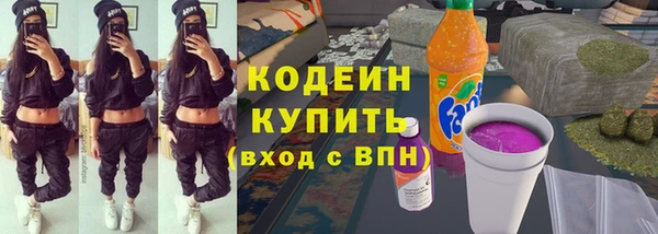 метадон Алексин